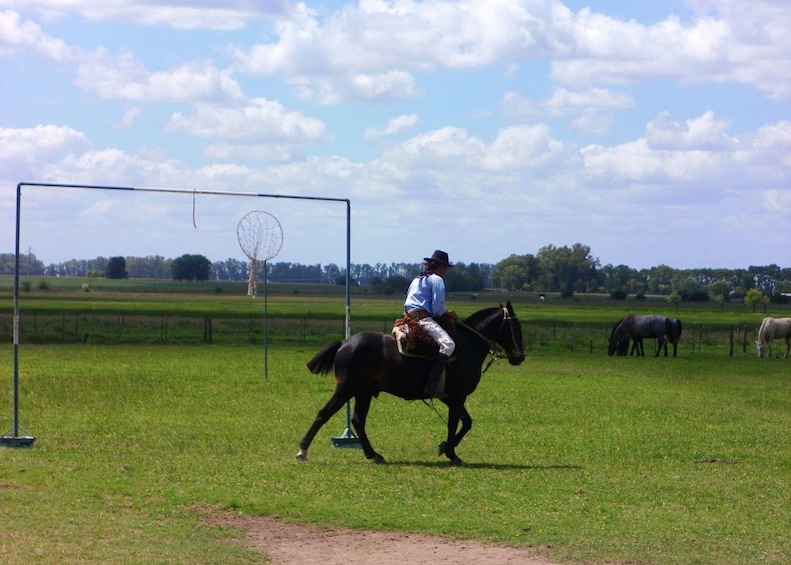 Private Day Tour to an Argentinian Estancia