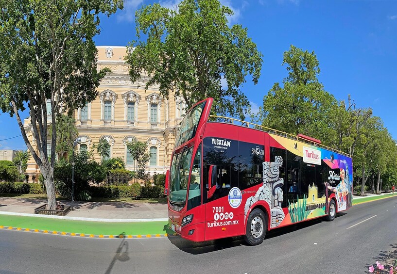 Panoramic Sightseeing Tour of Merida