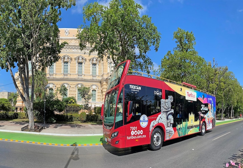 Panoramic Sightseeing Tour of Merida