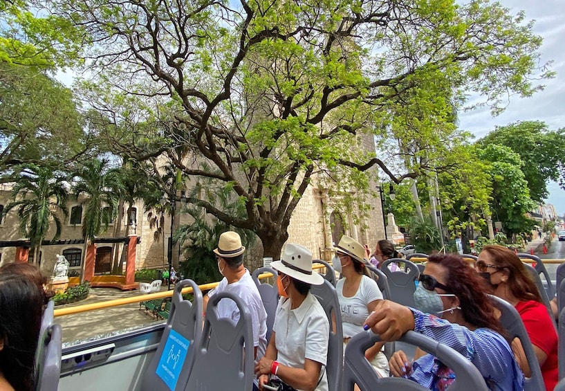 Panoramic Sightseeing Tour of Merida
