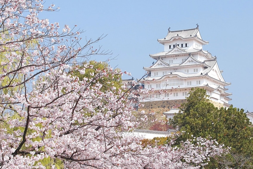 Himeji Castle, Kokoen Garden, Arima Onsen & Kobe 1-Day Tour