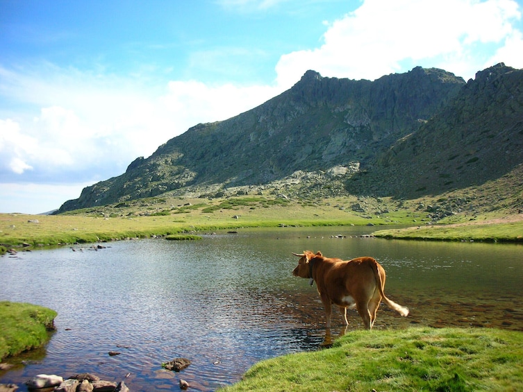 Guadarrama National Park from Madrid