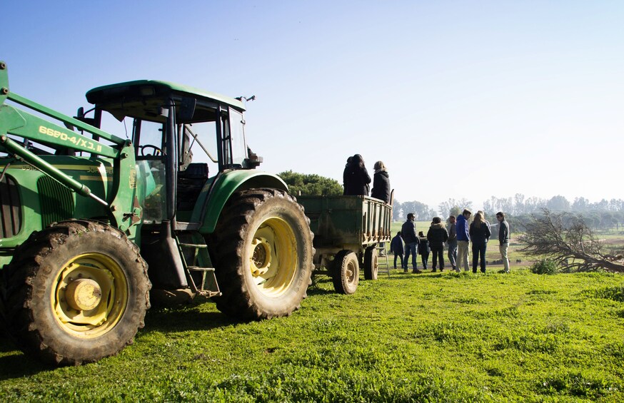 Visit a brave bull farm from Madrid