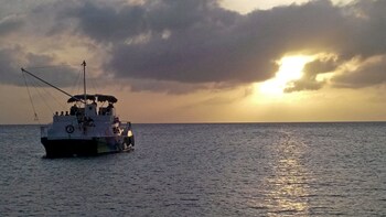 Cruise bij zonsondergang met open bar