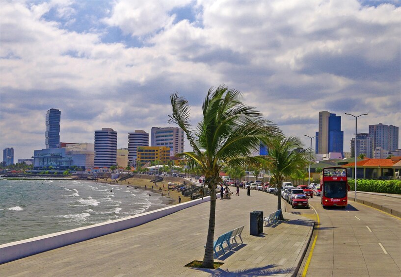Veracruz Hop-on Hop-off City Tour plus Attractions