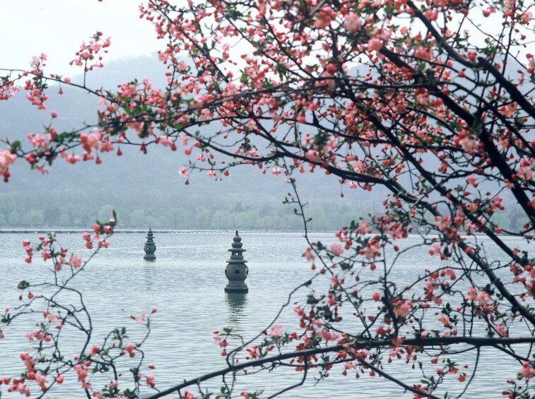 Private Hangzhou Day Trip from Shanghai with West Lake Cruise