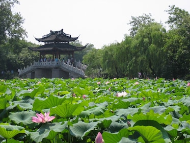 Private Hangzhou Day Trip from Shanghai with West Lake Cruise