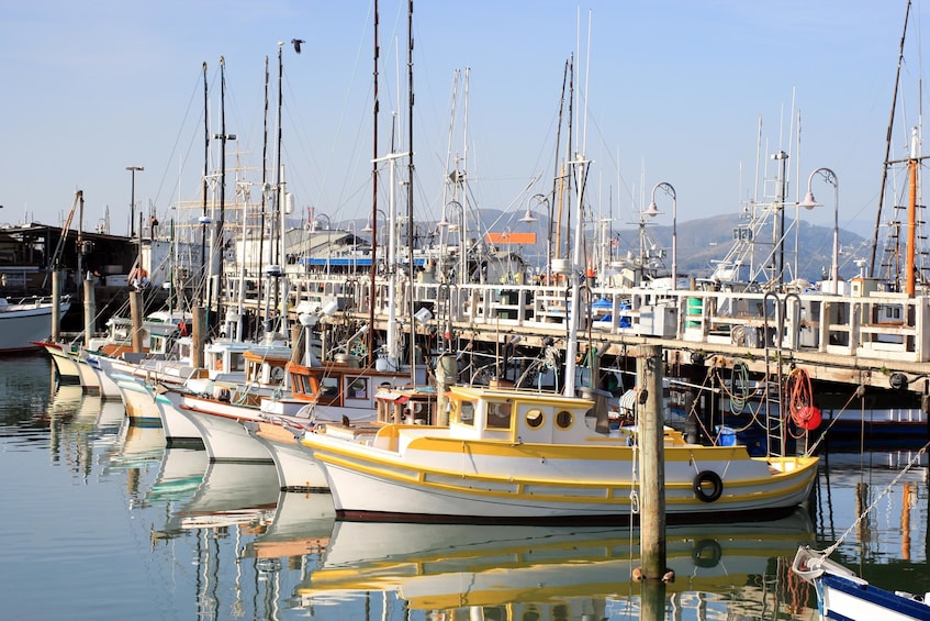 San Francisco Grand City Bus & Free Downtown Walking Tour