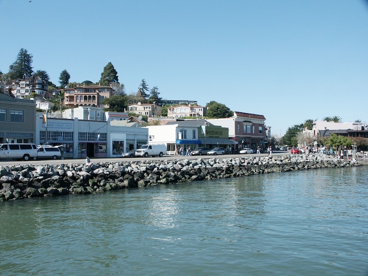 Muir Woods and Sausalito with Optional Return Ferry Ticket