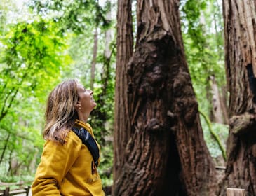 Muir Woods and Sausalito Tour (Ferry & Bike Options Available)