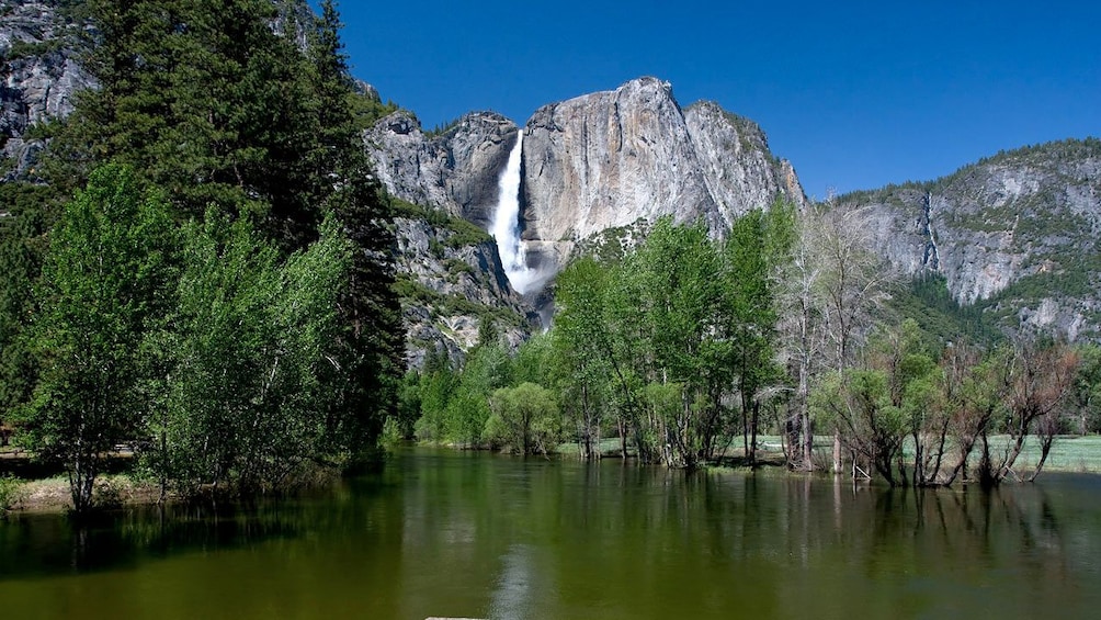Serene view of Yosemite National Park during a sunny day at the Yosemite Village