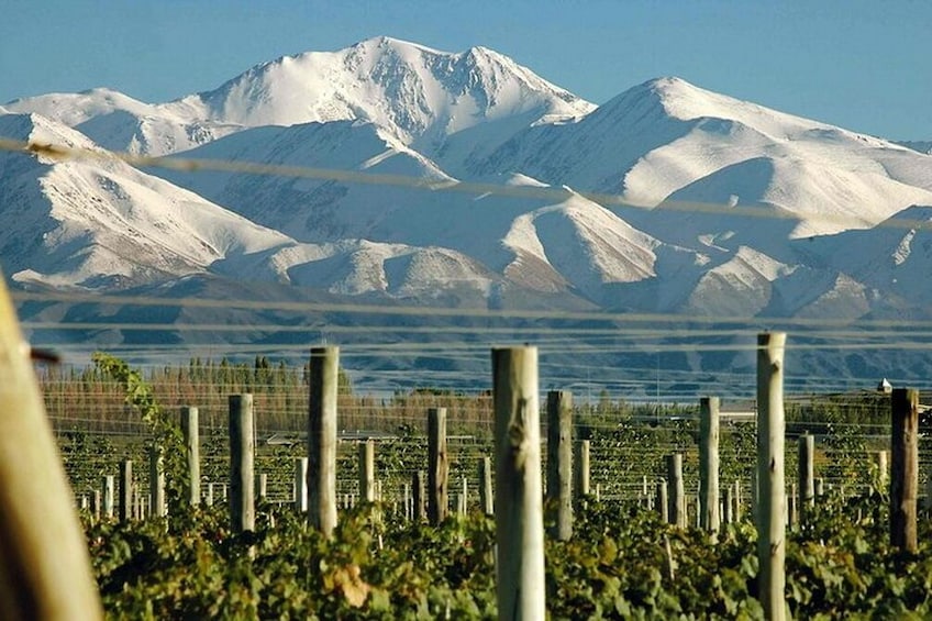 4-Days Trip to Mendoza and The Andes