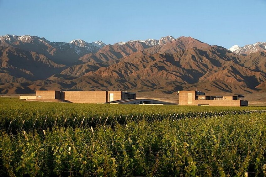 Private Day Trip Mendoza Winery w/Airfaire from Buenos Aires