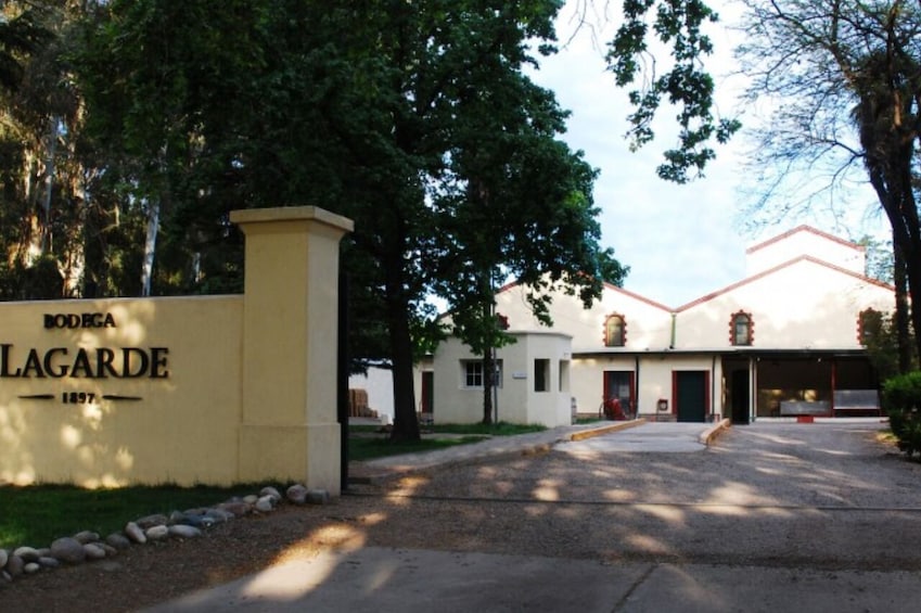 Private Day Trip Mendoza Wineries with Airfare from Buenos Aires
