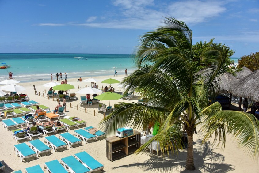 Negril Catamaran Cruise With Stop At Margaritaville