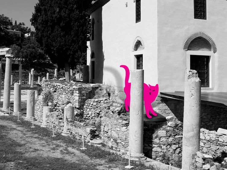 Show item 4 of 5. Athens Plaka: Cats of Athens self-guided Virtual Experience