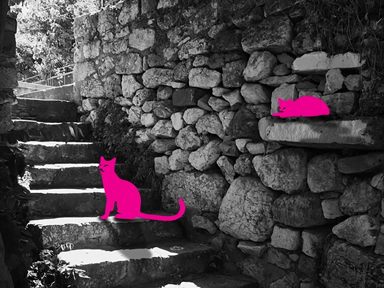 Show item 3 of 5. Athens Plaka: Cats of Athens self-guided Virtual Experience