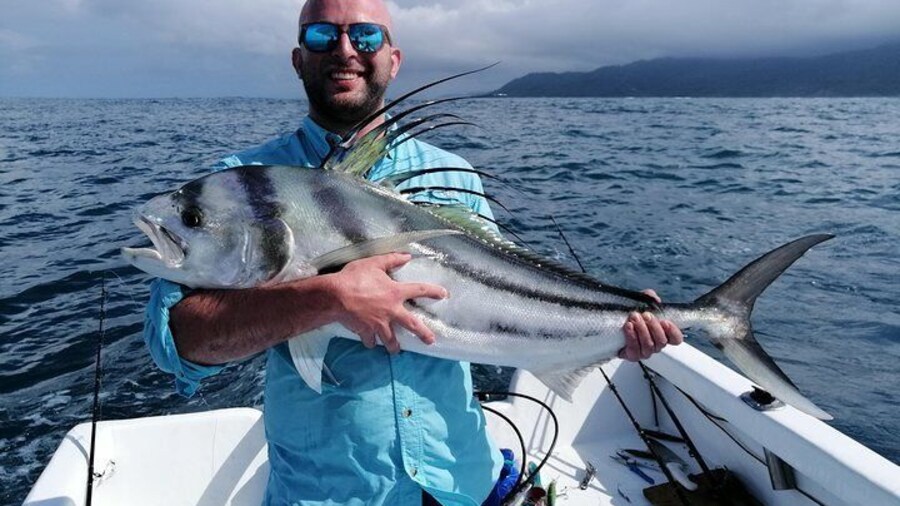 Roosterfish.