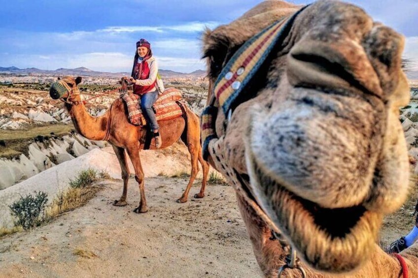 Camel Safari - Cappadocia Tours