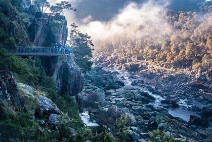 3.5 Hours Walking Tour to Cataract Gorge with Local Guide
