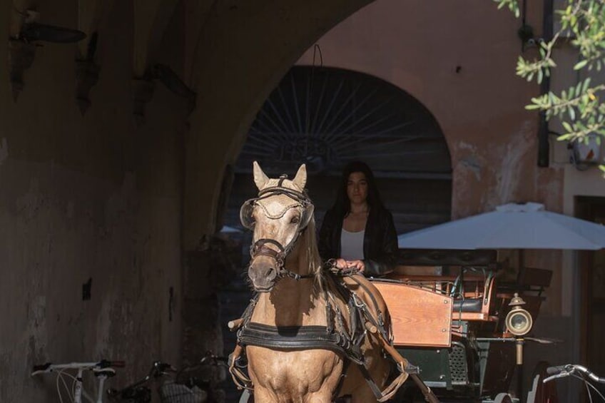 Carriage tour in the historic center of Lucca