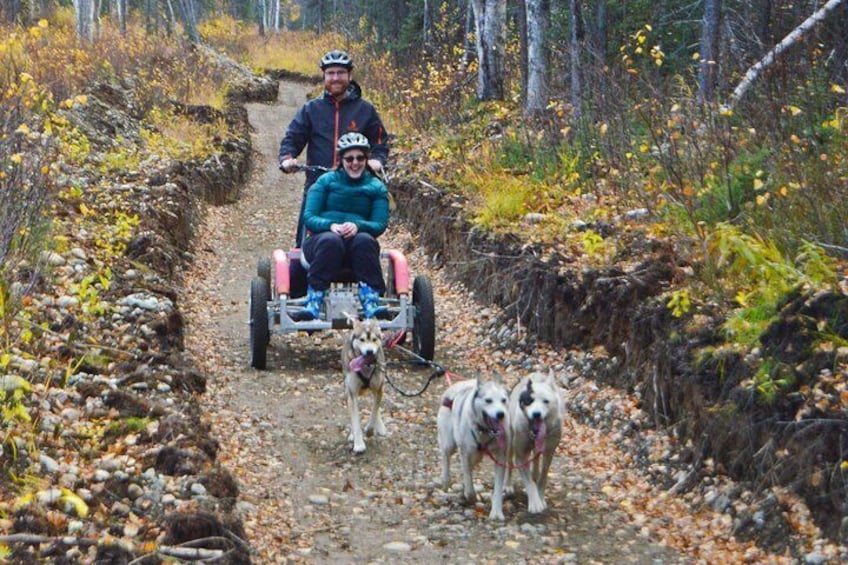 Mushing On Our Private Trails!