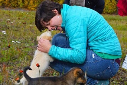 Mush Your Own Sled Dog Team (Summer/Fall Tour)
