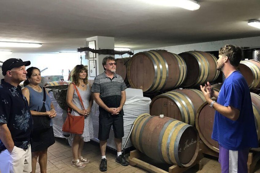 Bolgheri Wine tour