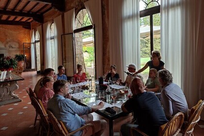 Private wine tour in Chianti Classico with sommelier (2 wineries)