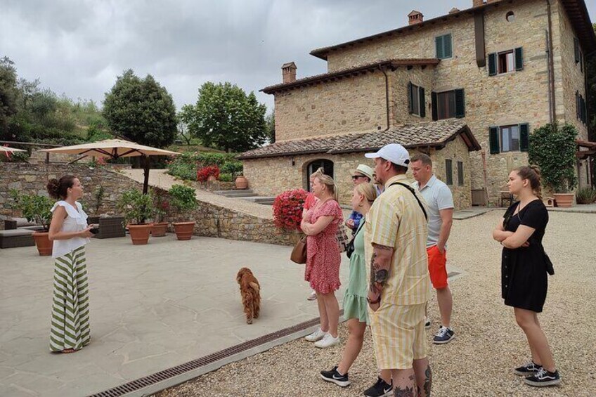 Private wine tour with lunch in Chianti Classico (2 wineries)