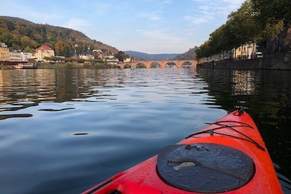 Excursion en kayak à Heidelberg sur le Neckar