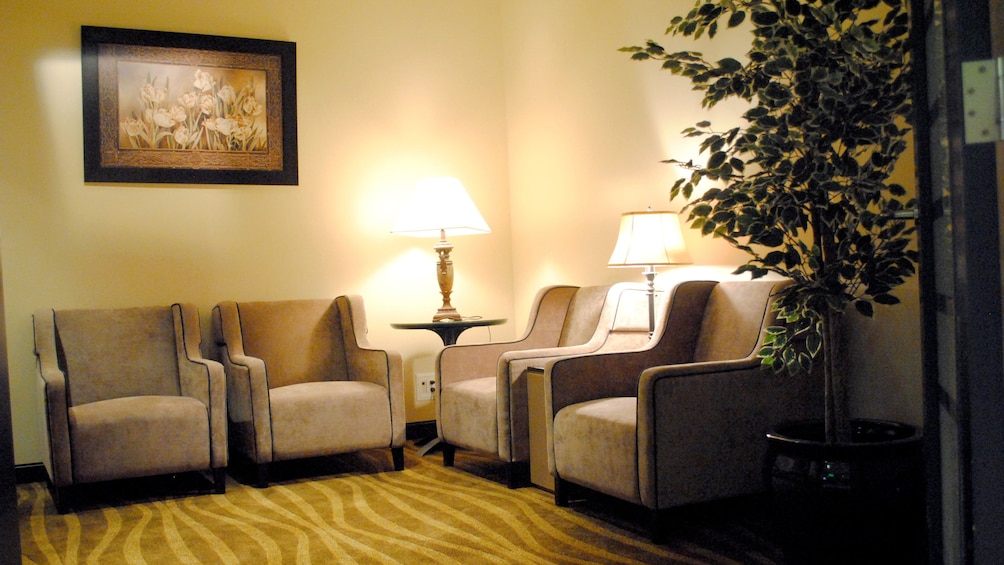 Show item 3 of 5. Couches inside the Plaza Premium Lounge at Edmonton International Airport