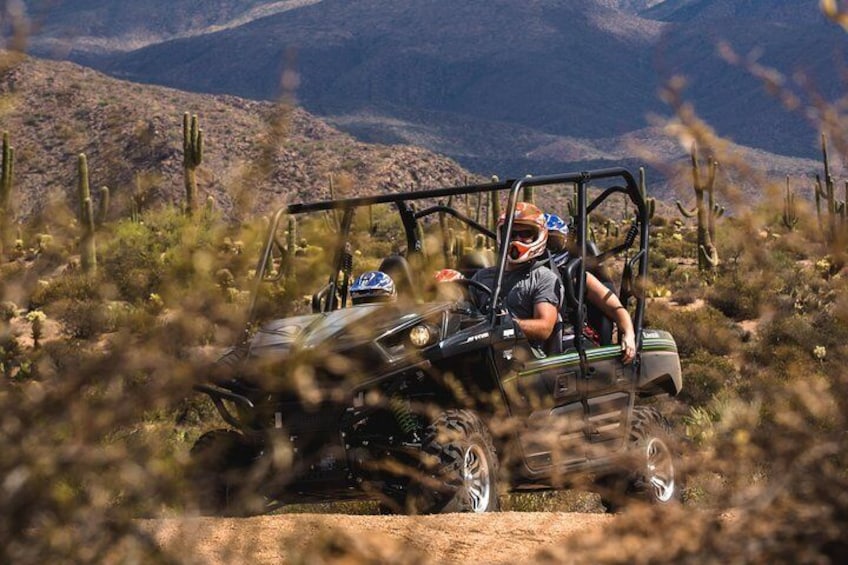 4 Seater UTV