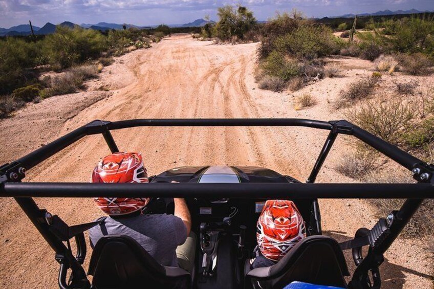 Sonoran Desert Guided UTV Adventure