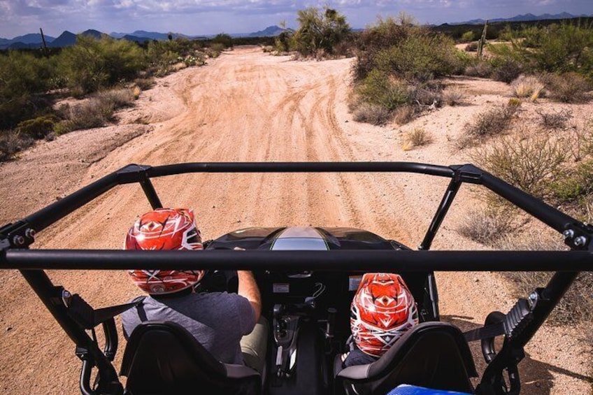Sonoran Desert Guided UTV Adventure