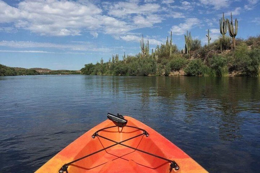 Salt River Kayaking Trip