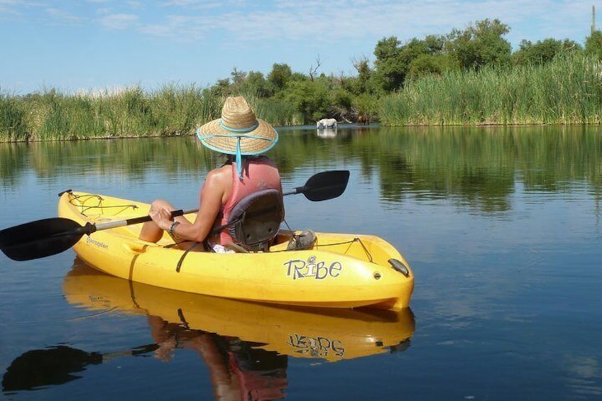 Salt River Kayaking Trip