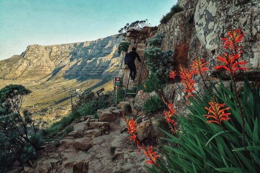 ⭐ Lion's Head Sunrise/Sunset Hike from Cape Town