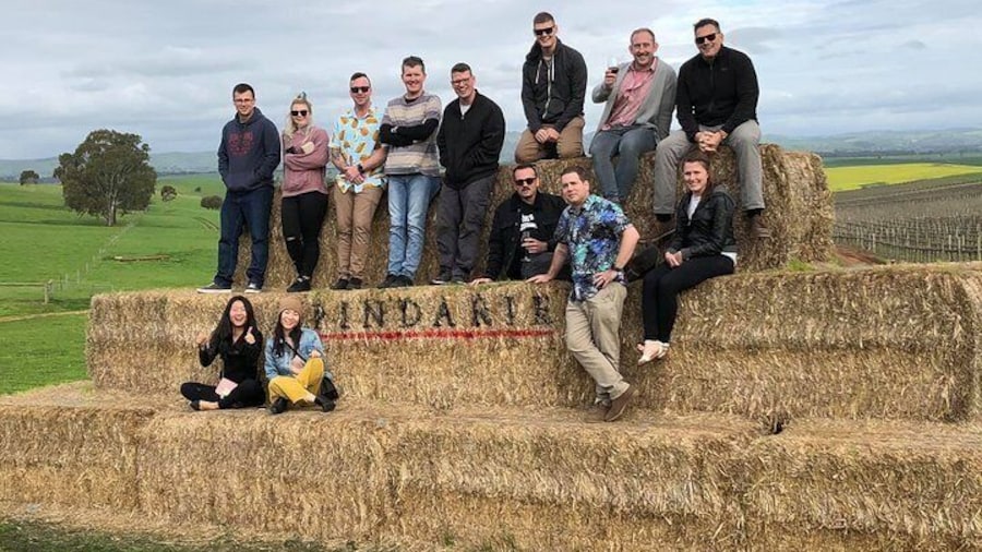 Red White & Brew - Wine, Gin & Beer Tour with Tastings from Adelaide