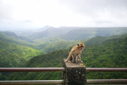 Mauritius Guided South Tour "Private"