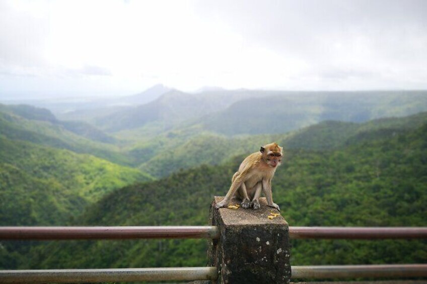 Mauritius Sightseeing - South West Tour "Private Tour"