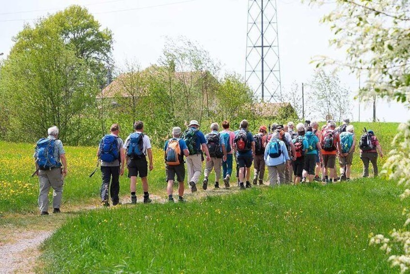 "Camino de Santiago": PORTUGUESE WAY. Private Walking Tour from Tui