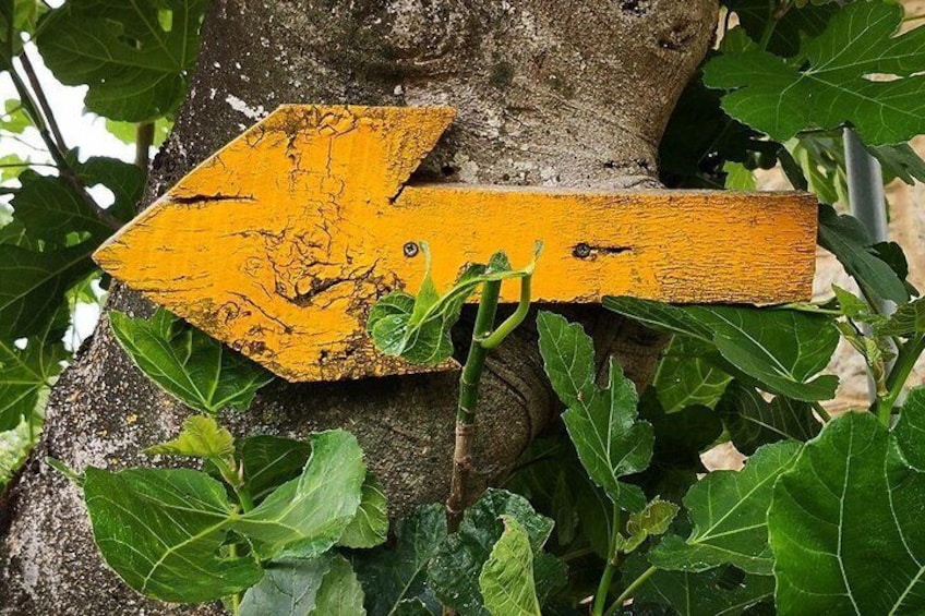"Camino de Santiago": PORTUGUESE WAY. Private Walking Tour from Tui