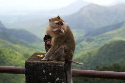 Mauritius Guided South Tour (Private)