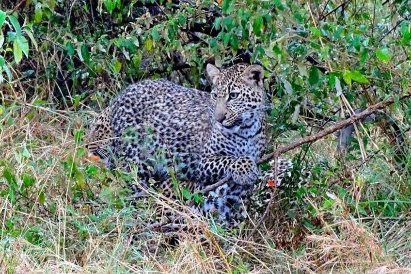 7 Days Tsavo East ,Taita, Amboseli and Sanctuary Safari