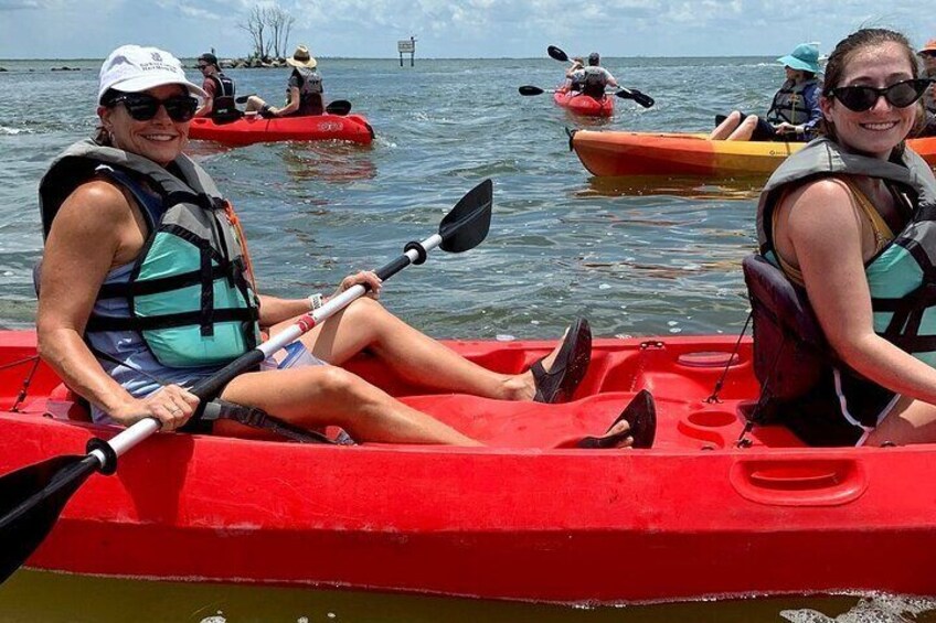 Manatee and Dolphin Kayaking Encounter