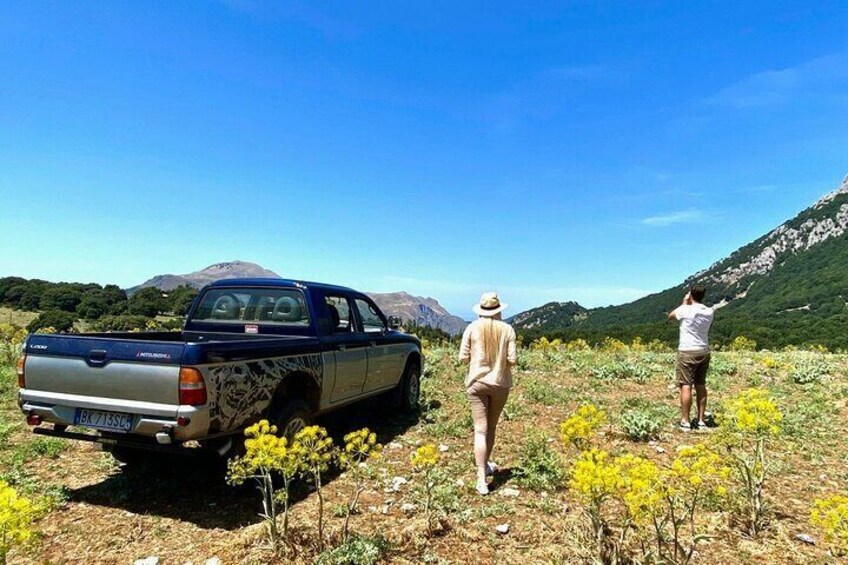 High Madonie wild jeep adventure