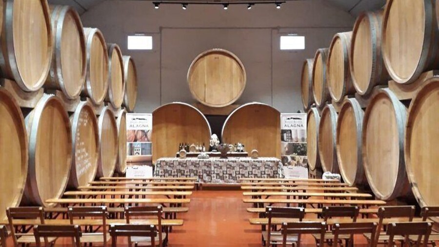 Tasting in the historic cellar of Marsala