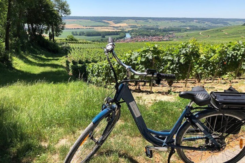Epernay: Champagne Day Trip with E-Bike Including Family-run Winery and Lunch