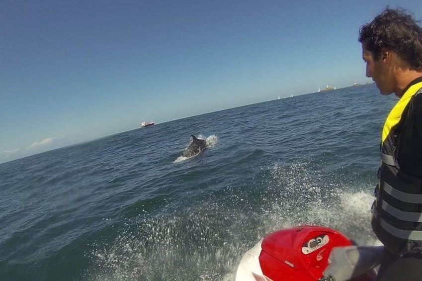 Escorted Coastal Tour by Jet Skis from St. Aubin